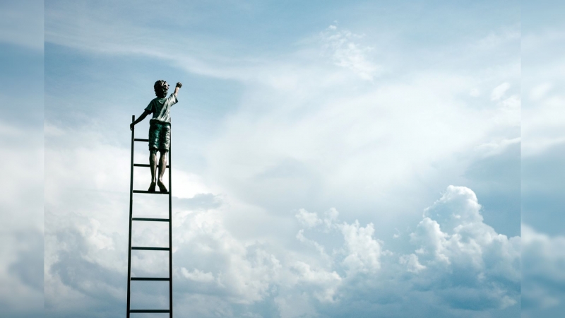 Conseil & Accompagnement